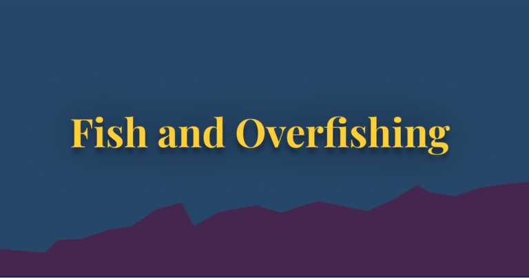 We just published our new work on global fish stocks and overfishing