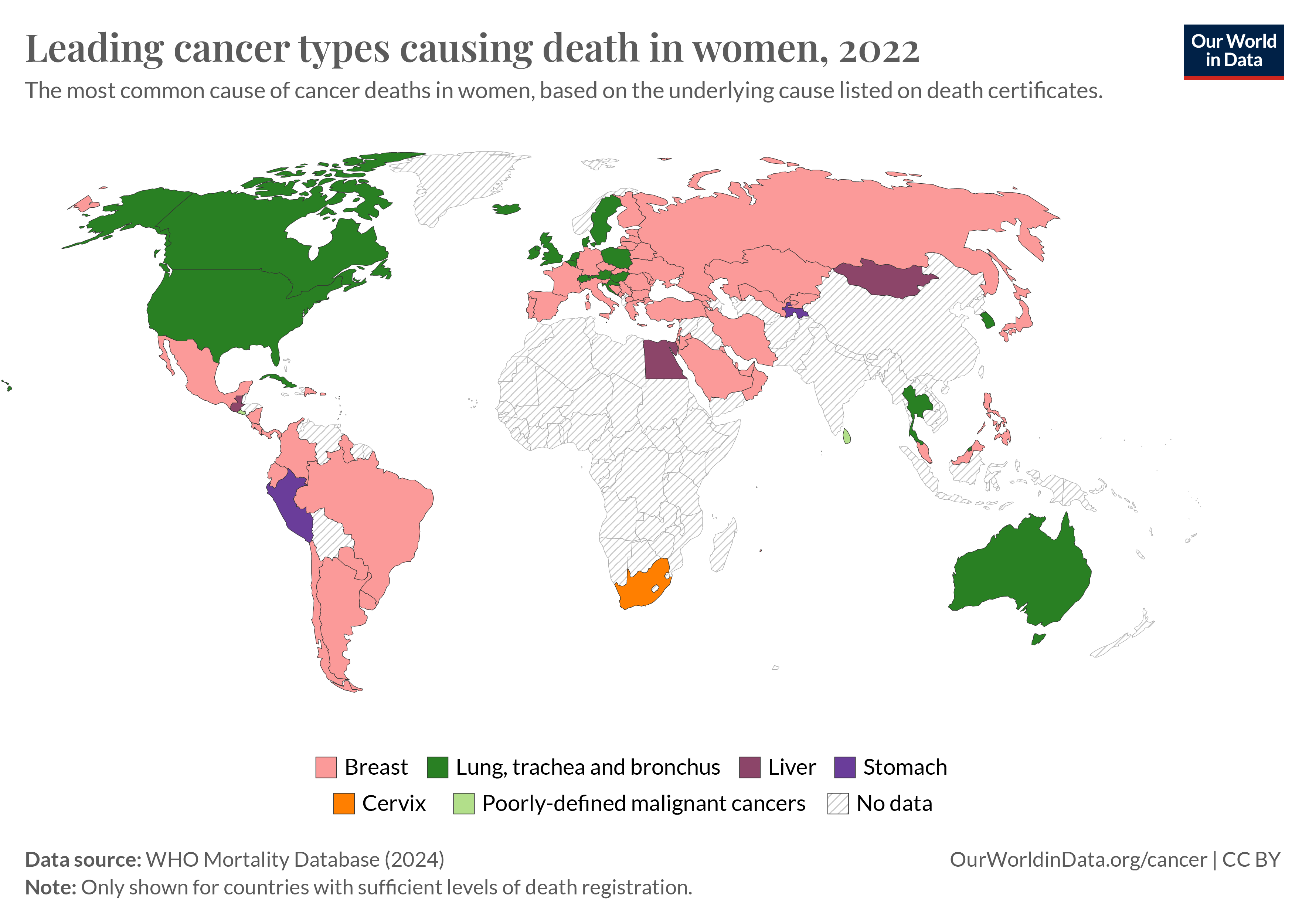 Cancer is one of the most common causes of death worldwide. In several countries, it is the most common cause of death.
But which cancer types cause the most deaths?
The map presents the most common type of cancer death among women. This is based on the cause listed on death certificates, compiled by the WHO Mortality Database. Unfortunately, many countries are not shown as they lack sufficient death registration.
Breast cancer is the leading cause of cancer death in many countries.
However, lung cancer leads in parts of North America, Europe, and Australia. It is largely driven by smoking.
In other countries, stomach, liver, or cervical cancers lead. Many cases are preventable: most stomach cancer cases are caused by H. pylori infections; most liver cancers by chronic inflammation from alcohol or hepatitis infections; and almost all cervical cancers are caused by HPV infections, which are preventable through HPV vaccination.