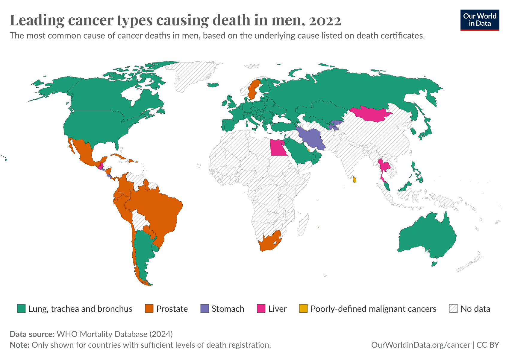 Cancer is one of the most common causes of death worldwide. In several countries, it is the most common cause of death.
But which cancers cause the most deaths?
This map shows the data for men. It presents the most common type of cancer death, based on the cause listed on death certificates, compiled by the WHO Mortality Database. Many countries are not shown as they lack sufficient death registration.
Lung cancer is the most common in many countries. In several others, especially in South America, prostate cancer leads.
In Iran, stomach cancer, and in Mongolia and Egypt, liver cancer, are the most common. 
Many of these cancers are preventable. Stomach cancer, for example, has declined almost ten-fold in the last seventy years in the United States thanks to improvements in food safety, hygiene, and antibiotics. Meanwhile, lung cancer death rates have halved since their peak with the fall of smoking.