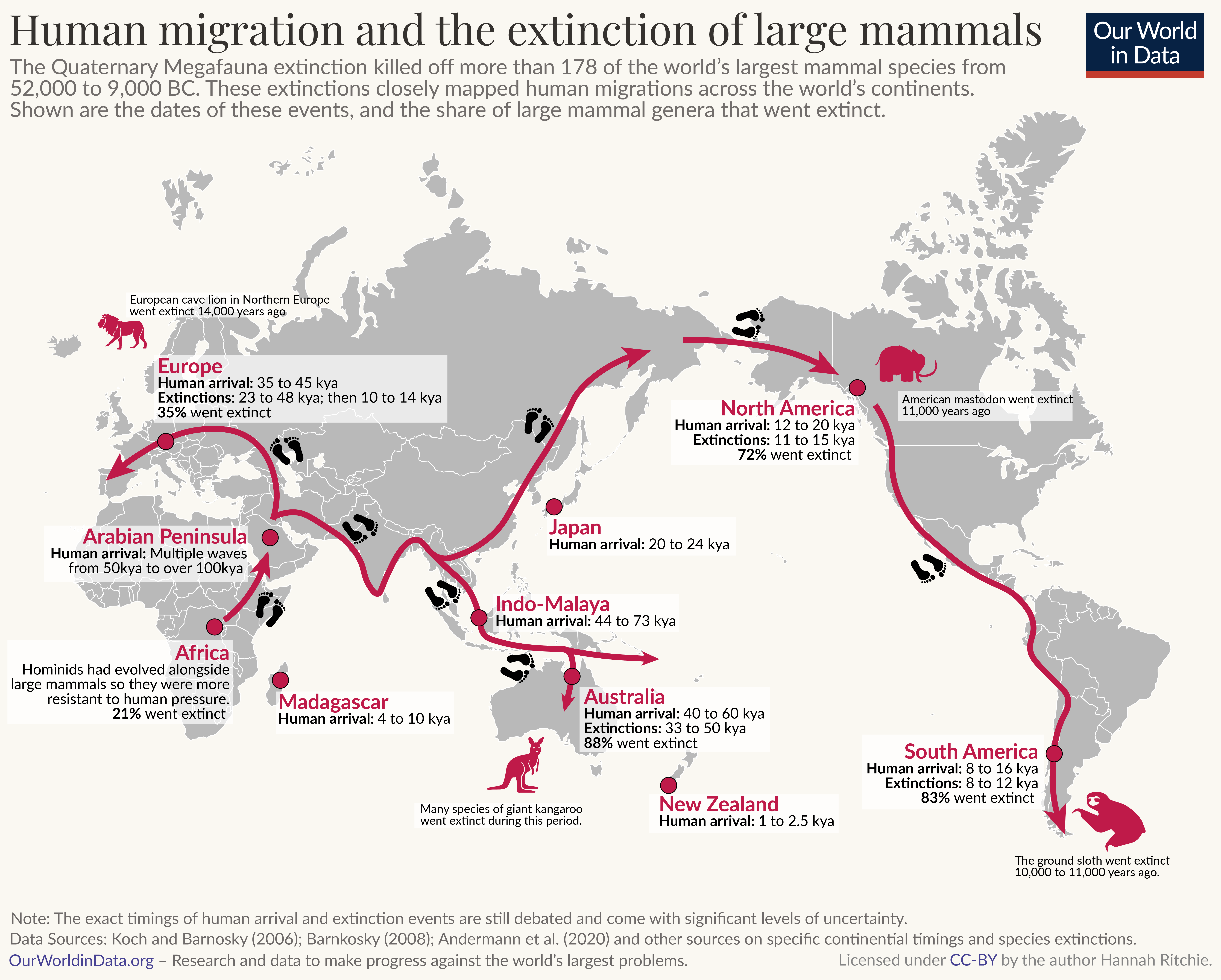 A world map illustrating human migration and the extinction of large mammals from 52,000 to 9,000 BC. Various regions are marked with key information regarding human arrival and extinction rates of large mammals. 

- **Europe**: Human arrival occurred 35,000 to 45,000 years ago, with 35% of large mammal species going extinct between 23,000 to 48,000 years ago.
- **Arabian Peninsula**: Multiple waves of human migration began 50,000 to over 100,000 years ago.
- **Africa**: Home to hominids that evolved alongside large mammals, with 21% extinction.
- **Madagascar**: Human arrival occurred 4,000 to 10,000 years ago.
- **Indo-Malaya**: Humans arrived 44,000 to 73,000 years ago.
- **Japan**: Human arrival happened 20,000 to 24,000 years ago.
- **North America**: Human migration occurred 12,000 to 20,000 years ago, with 72% of large mammal species going extinct.
- **South America**: Human arrival was between 8,000 to 16,000 years ago, with 83% extinction.
- **Australia**: Human presence began 40,000 to 60,000 years ago, leading to an 88% extinction rate.
- **New Zealand**: Humans arrived 1,000 to 2,500 years ago.

Data sources listed: Koch and Barnosky (2006), Barnosky (2008), Andermann et al. (2020)