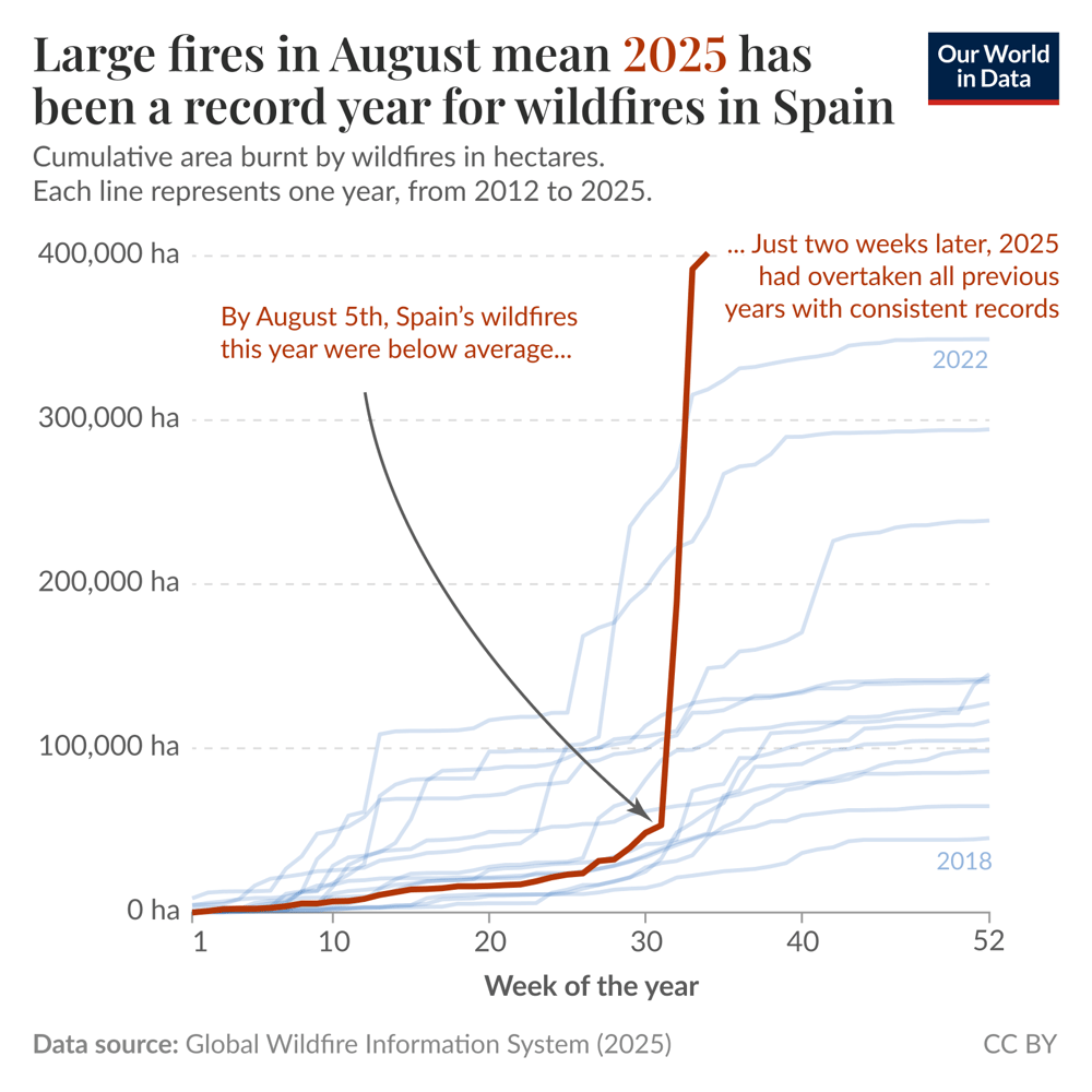 Spain is having its largest wildfire year in well over a decade | Our ...
