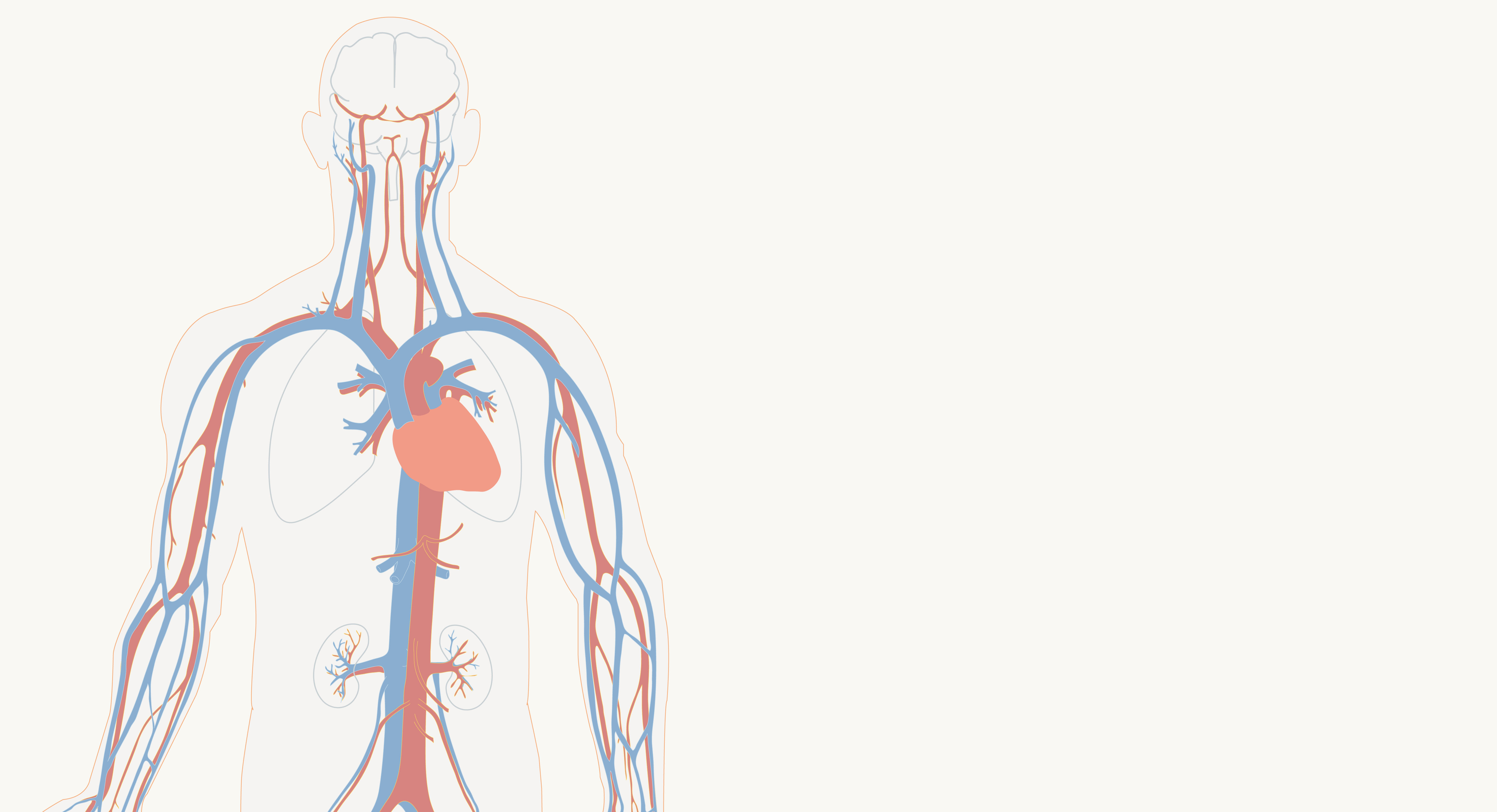 thumbnail for article on cardiovascular diseases