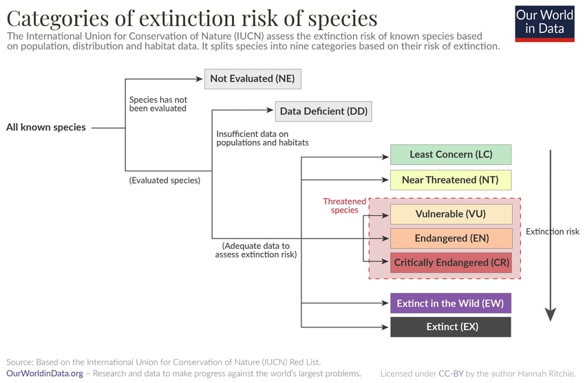 The 9 categories of extinction risk. Source: [IUCN Redlist / Our World in data](https://ourworldindata.org/extinction-risk-definition)