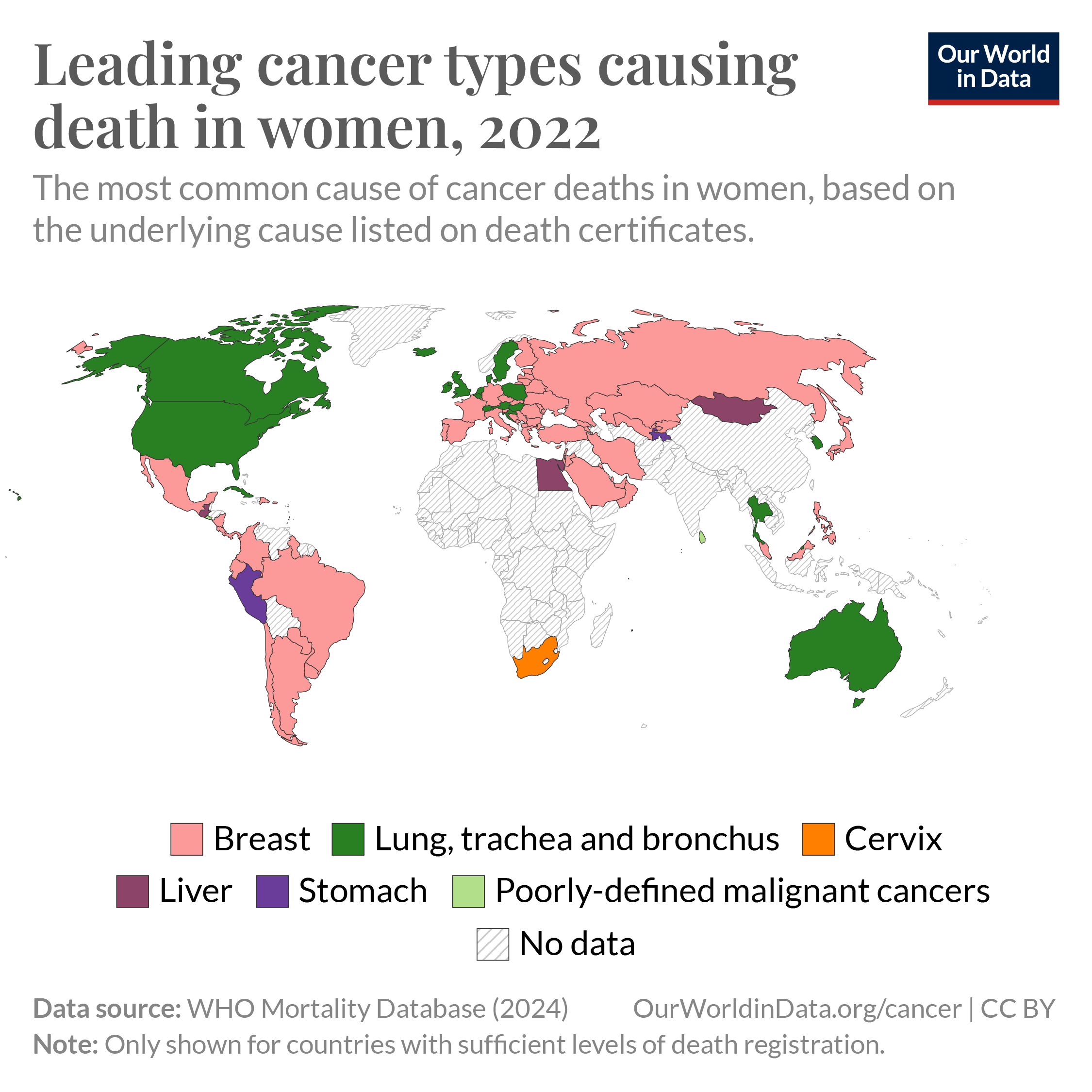 Cancer is one of the most common causes of death worldwide. In several countries, it is the most common cause of death.
But which cancer types cause the most deaths?
The map presents the most common type of cancer death among women. This is based on the cause listed on death certificates, compiled by the WHO Mortality Database. Unfortunately, many countries are not shown as they lack sufficient death registration.
Breast cancer is the leading cause of cancer death in many countries.
However, lung cancer leads in parts of North America, Europe, and Australia. It is largely driven by smoking.
In other countries, stomach, liver, or cervical cancers lead. Many cases are preventable: most stomach cancer cases are caused by H. pylori infections; most liver cancers by chronic inflammation from alcohol or hepatitis infections; and almost all cervical cancers are caused by HPV infections, which are preventable through HPV vaccination.