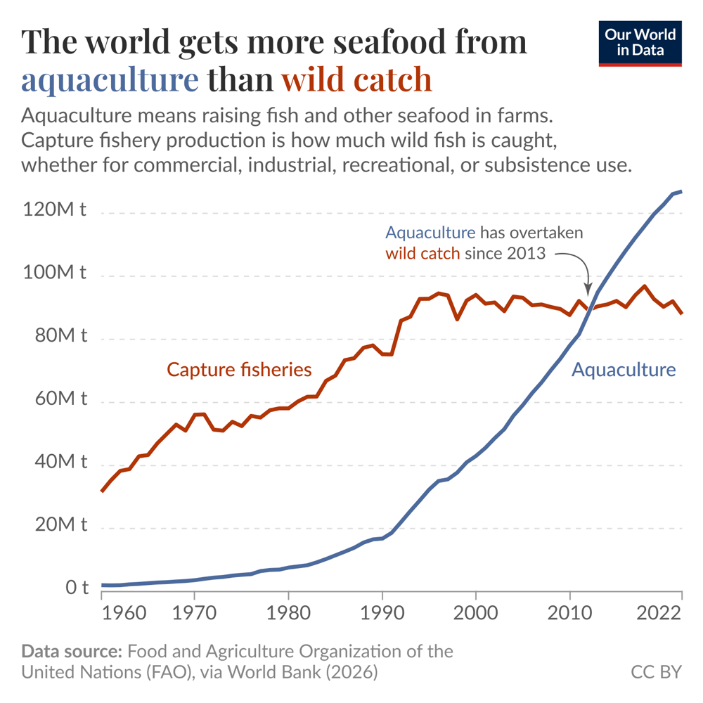 The world gets more seafood from aquaculture than wild catch