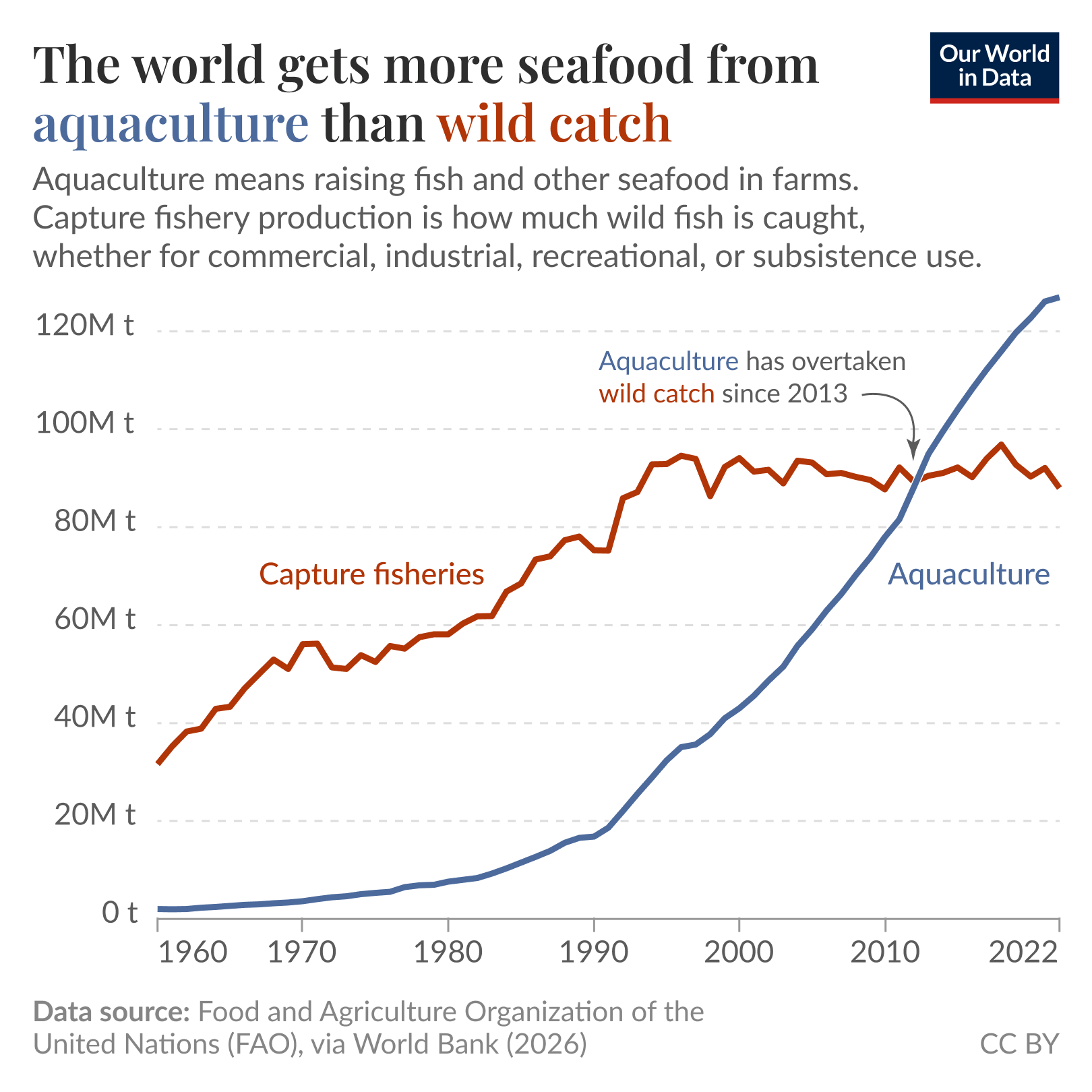 Line chart of global seafood production from 1960 to 2022 comparing aquaculture and capture fisheries where aquaculture rises from near zero in the 1960s, accelerates from the 1990s, and overtakes capture fisheries around 2010. Capture fisheries grow earlier then level off, while aquaculture becomes the larger source of seafood by 2022.