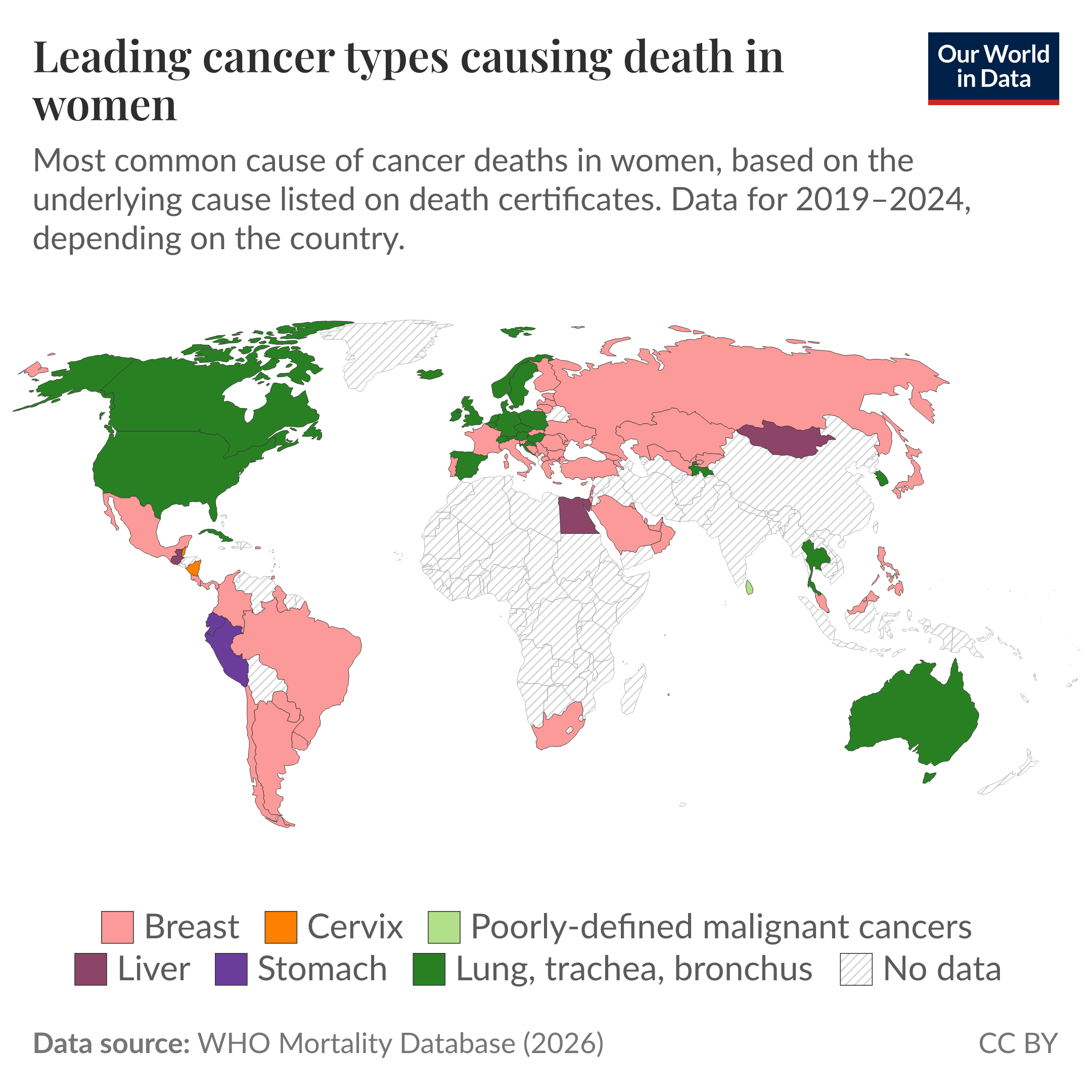 Map of the leading cancer type causing death in women by country, showing that breast cancer is the most common in much of Europe, Russia, South America, and the Middle East, while lung cancer leads in North America, Australia, and parts of Europe and Southeast Asia. Liver, stomach, and cervical cancer lead in only a few countries, such as liver in Mongolia and Egypt and stomach in Peru, and much of Africa and Asia has no data. Data source: WHO Mortality Database (2026), for 2019 to 2024 depending on country. License: CC BY to Our World in Data.