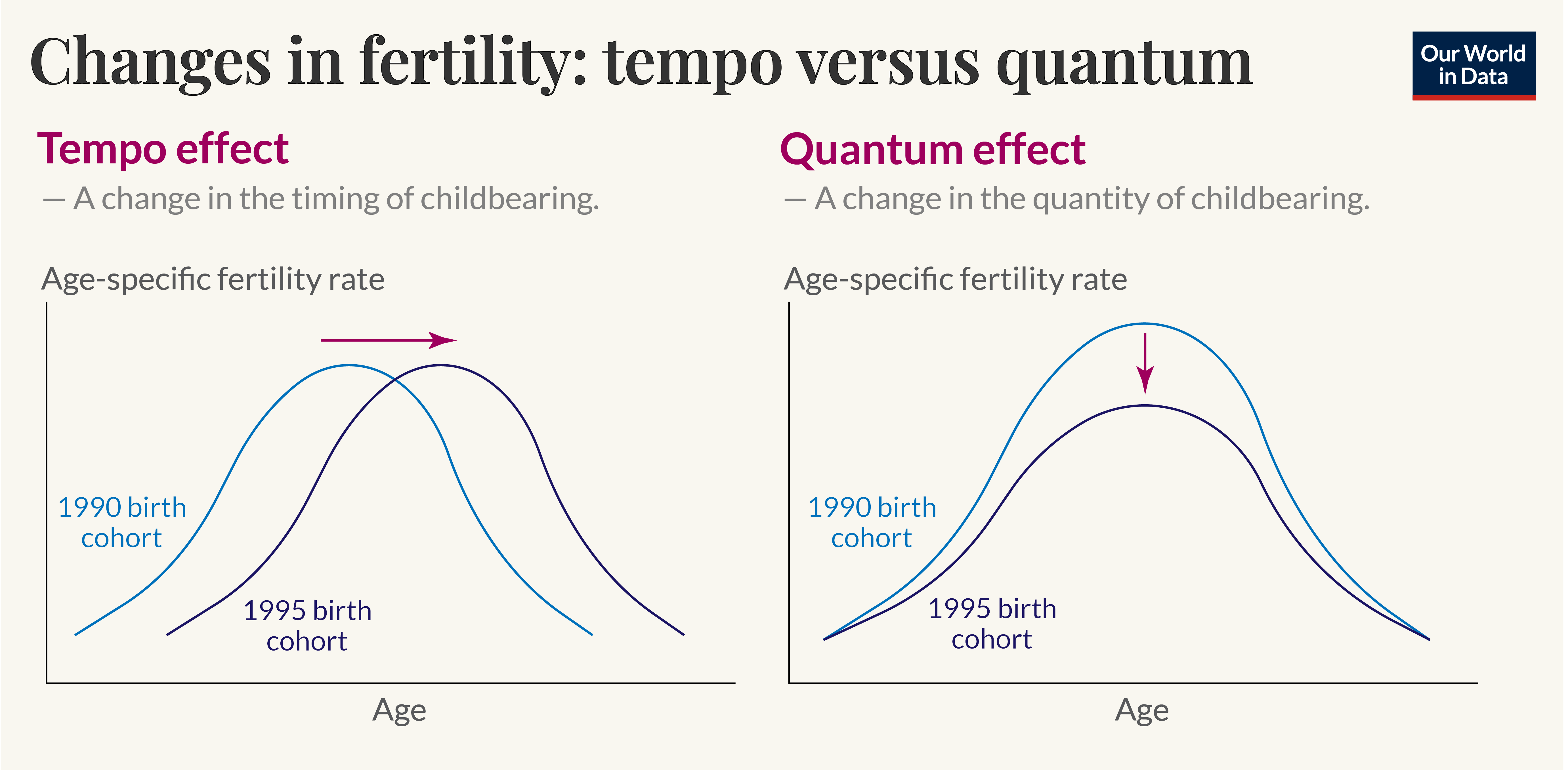 A diagram comparing two effects on fertility: the tempo effect and the quantum effect.

On the left side, labeled "Tempo effect," it describes a change in the timing of childbearing. It shows two curves representing age-specific fertility rates for two birth cohorts: a 1990 cohort (in blue) and a 1995 cohort (in purple). The blue line peaks at an earlier age than the purple line, indicating a shift in the age at which children are born, with an arrow pointing to the right indicating the change in timing.

On the right side, labeled "Quantum effect," it compares the quantity of childbearing. This time the blue line peaks higher than the purple line, indicating a decrease in the number of births per age group over time, with an arrow pointing downwards indicating the change in quantity.

The diagram is published by Our World in Data, created by the author Saloni Dattani.