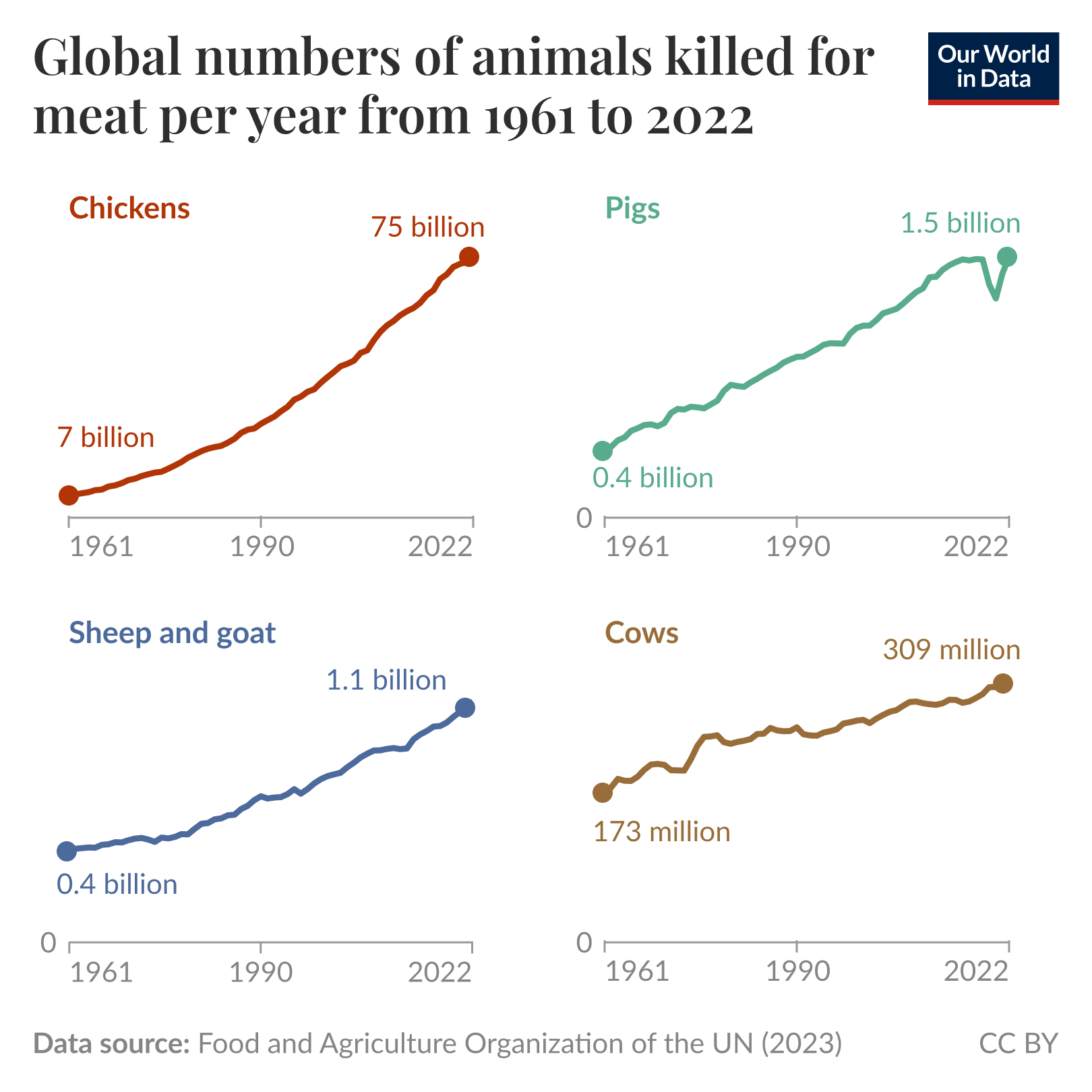 The image presents a data visualization illustrating the number of animals killed for meat worldwide from 1961 to 2022. It is divided into four sections, each representing a different animal species:

1. **Chickens**: Shown in orange, the graph starts at zero in 1961 and rises sharply, reaching approximately 60 billion killed by 2022.
  
2. **Pigs**: Displayed in green, this chart shows a more gradual increase, starting from zero in 1961 and peaking at around 1 billion killed by 2022.

3. **Sheep and Goats**: Presented in blue, this line shows a steady rise from zero in 1961 to nearly 400 million by 2022, with a peak near 1 billion.

4. **Cows**: Illustrated in dark green, this graph shows a slow but consistent increase from zero to about 300 million killed by 2022.

Each section has a label indicating the species and the number of animals on the vertical axis, while the horizontal axis marks the years from 1961 to 2022. The bottom of the image references the data source as the Food and Agriculture Organization of the UN from 2023, with a CC BY attribution.