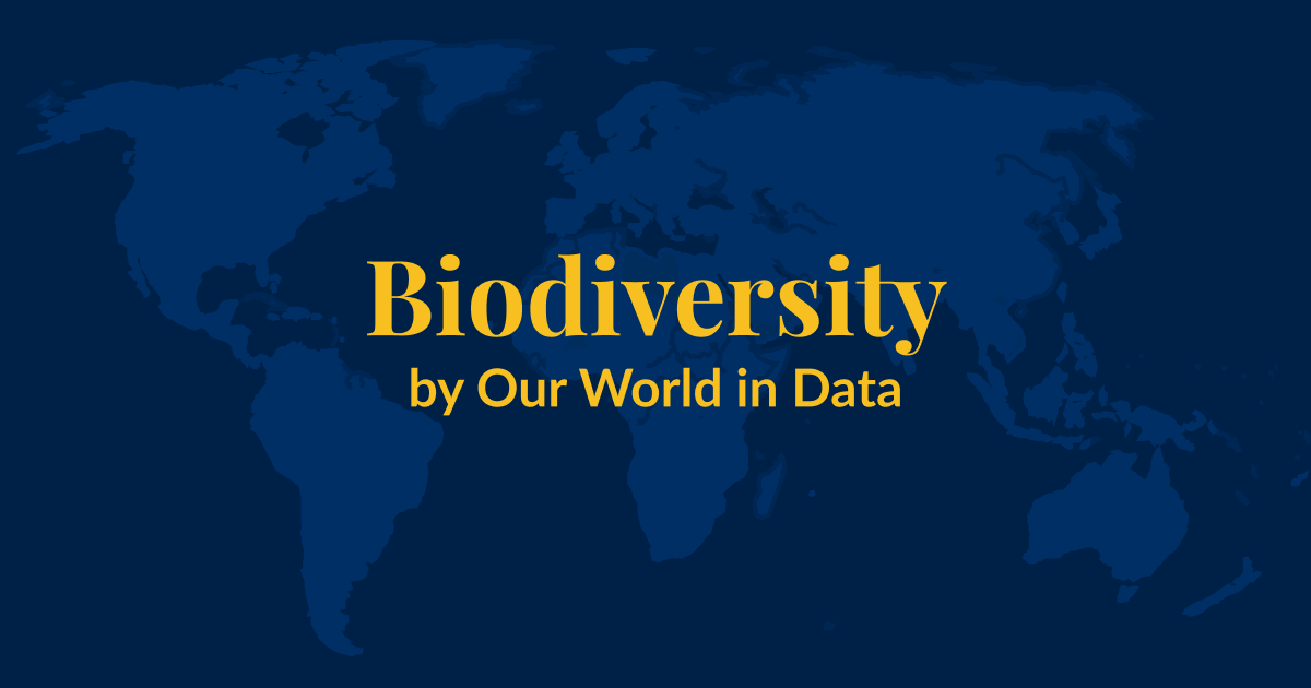 A dark blue background with a lighter blue world map superimposed over it. Yellow text that says Biodiversity by Our World in Data