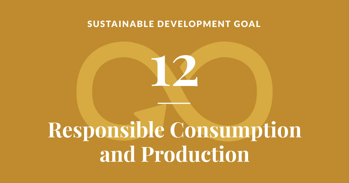 Sustainable development goal 12: Responsible Consumption and Production