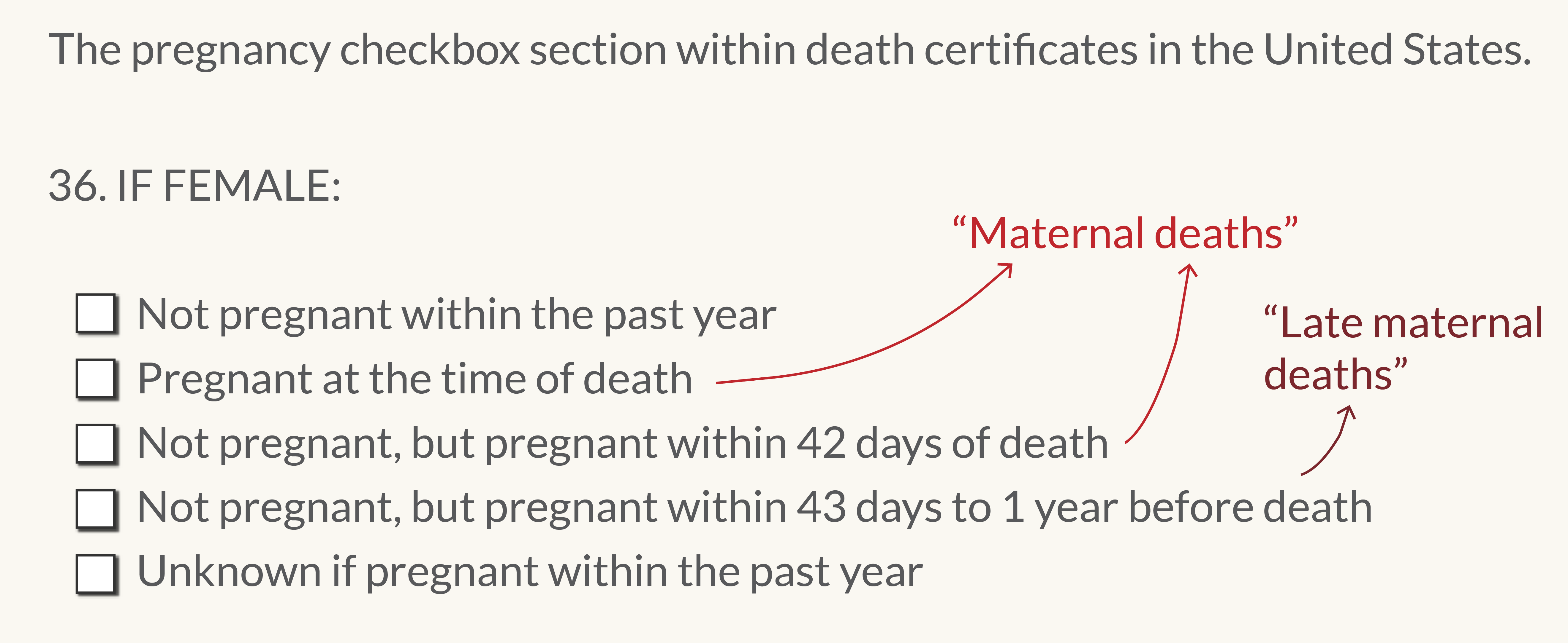 The image shows a section from a death certificate used in the United States for documenting pregnancy status in female decedents. It's a checklist format with the heading "36. IF FEMALE:". There are five options to be checked accordingly:

"Not pregnant within the past year"
"Pregnant at the time of death" (annotated as "Maternal deaths")
"Not pregnant, but pregnant within 42 days of death" (annotated as "Maternal deaths")
"Not pregnant, but pregnant within 43 days to 1 year before death" (annotated as "Late maternal deaths")
"Unknown if pregnant within the past year"
The annotations show that checking the second or third option is to indicate a maternal death, while checking the fourth option indicates a late maternal death. This helps to categorize the timing and relation of the death to pregnancy, which is critical for public health data and understanding maternal mortality.