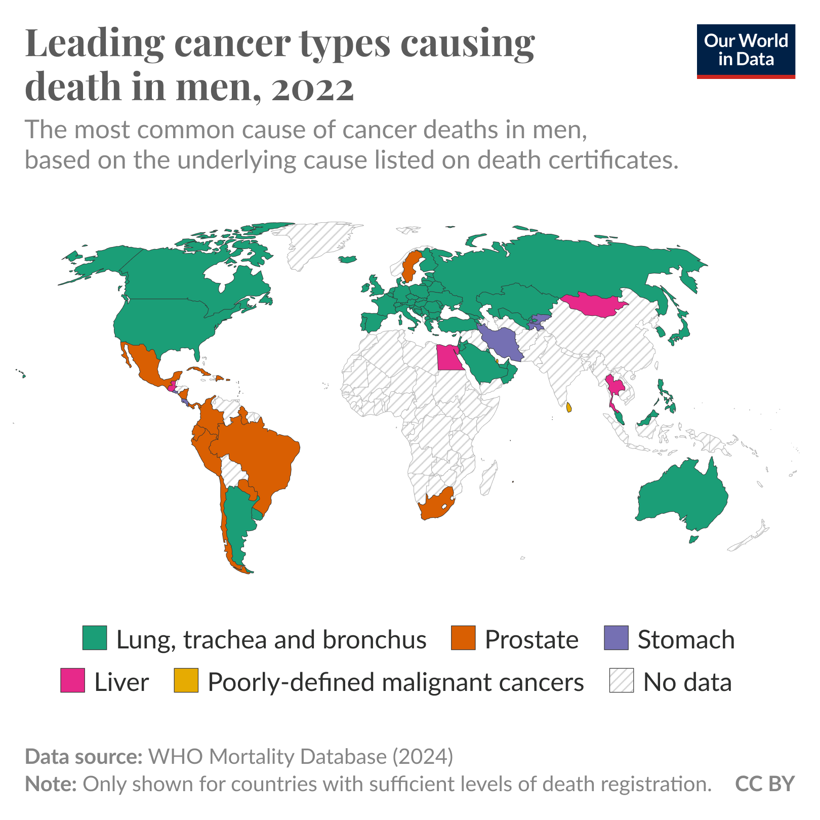 Cancer is one of the most common causes of death worldwide. In several countries, it is the most common cause of death.
But which cancers cause the most deaths?
This map shows the data for men. It presents the most common type of cancer death, based on the cause listed on death certificates, compiled by the WHO Mortality Database. Many countries are not shown as they lack sufficient death registration.
Lung cancer is the most common in many countries. In several others, especially in South America, prostate cancer leads.
In Iran, stomach cancer, and in Mongolia and Egypt, liver cancer, are the most common. 
Many of these cancers are preventable. Stomach cancer, for example, has declined almost ten-fold in the last seventy years in the United States thanks to improvements in food safety, hygiene, and antibiotics. Meanwhile, lung cancer death rates have halved since their peak with the fall of smoking.