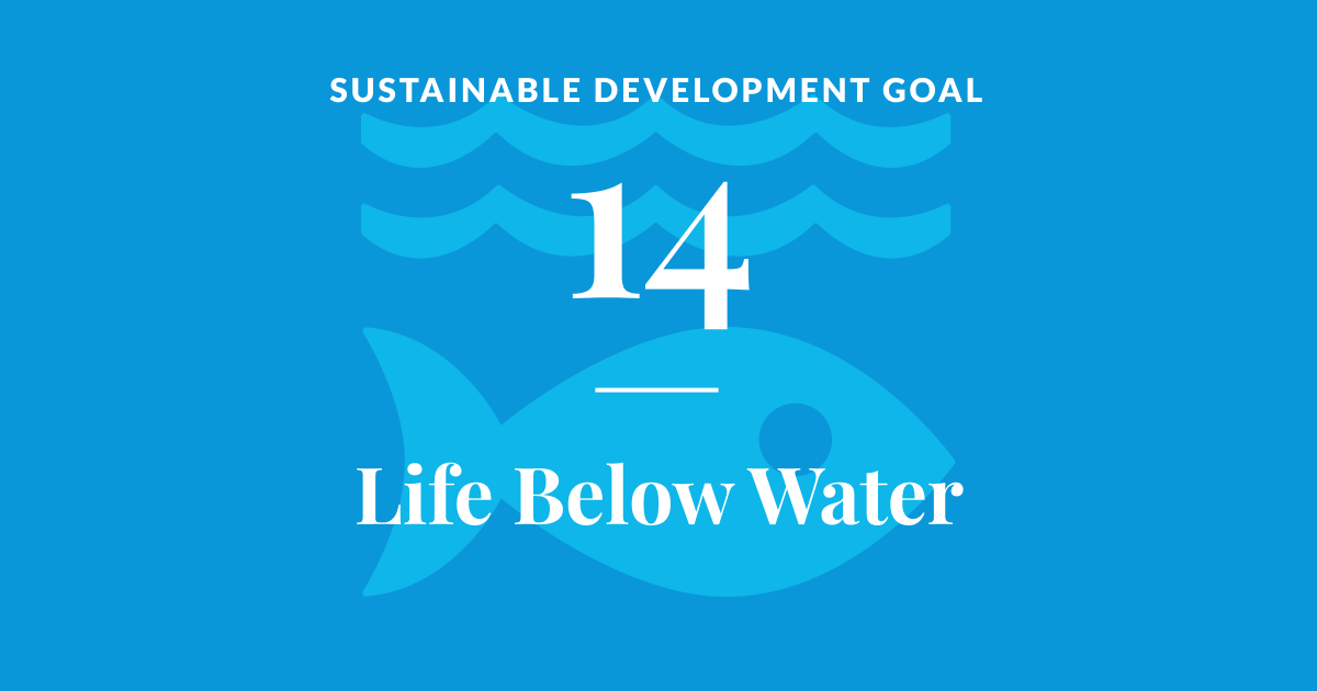 Sustainable development goal 14: Life Below Water