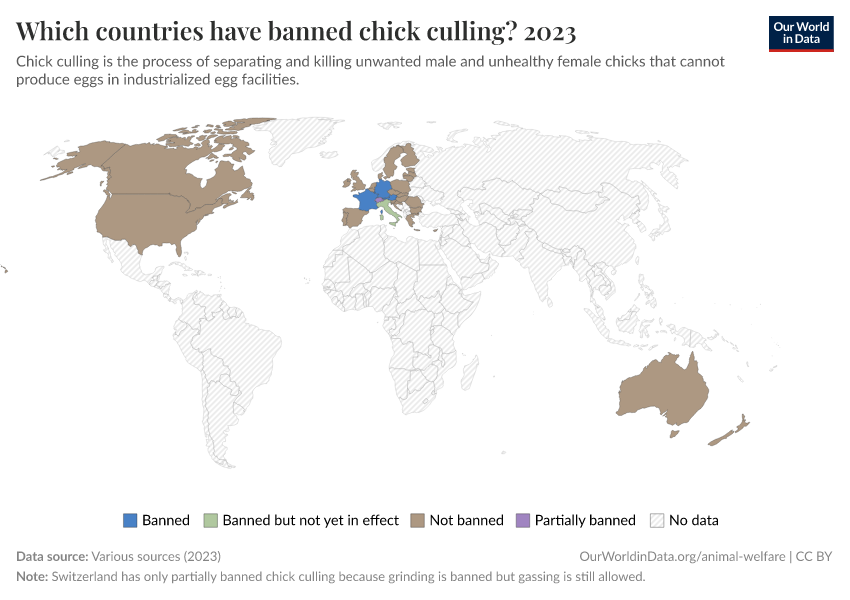 A thumbnail of the "Which countries have banned chick culling?" chart