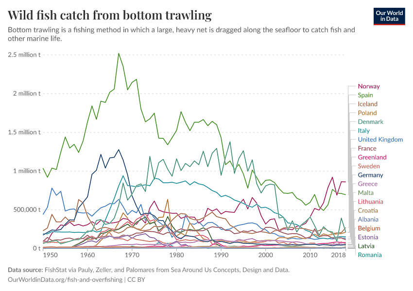 Wild fish catch from bottom trawling