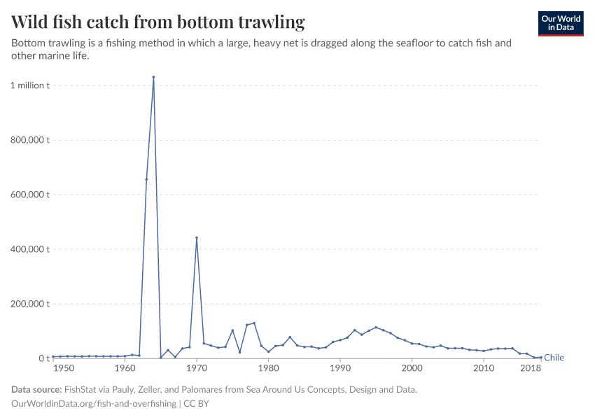 Wild fish catch from bottom trawling