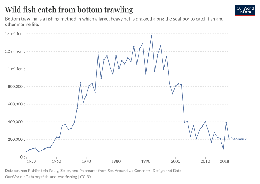 Wild fish catch from bottom trawling