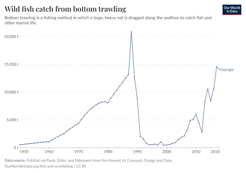Wild fish catch from bottom trawling