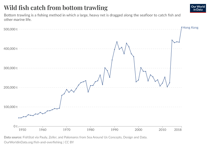 Wild fish catch from bottom trawling