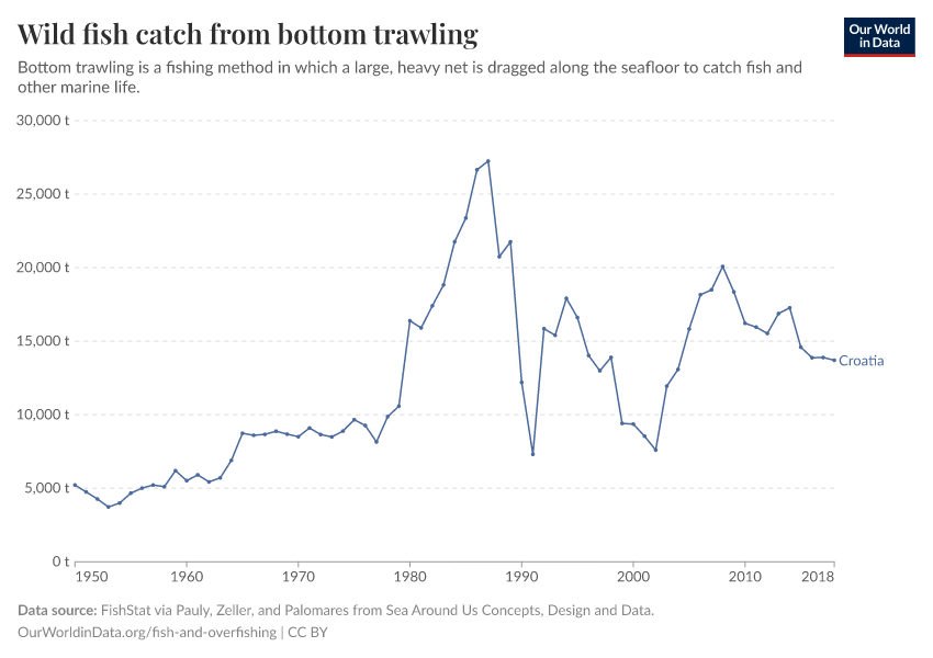 Wild fish catch from bottom trawling