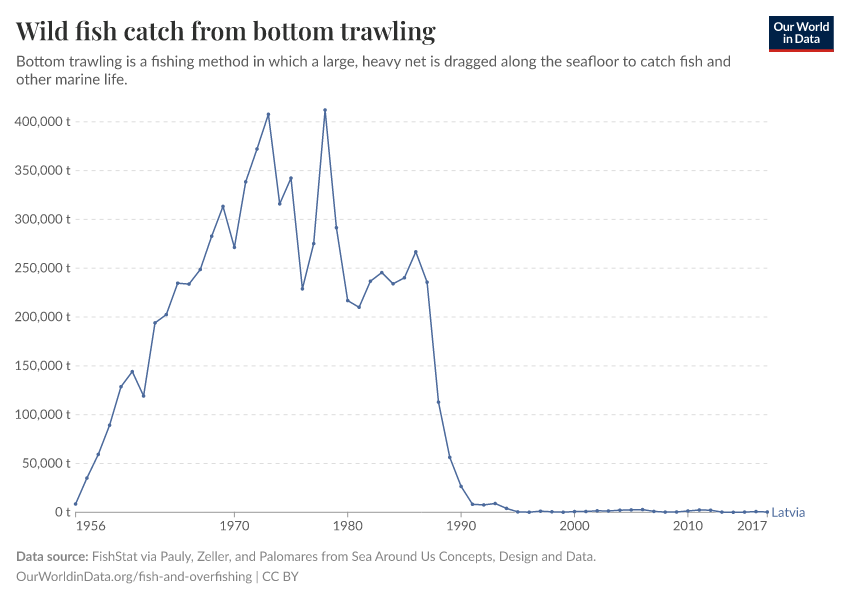 Wild fish catch from bottom trawling