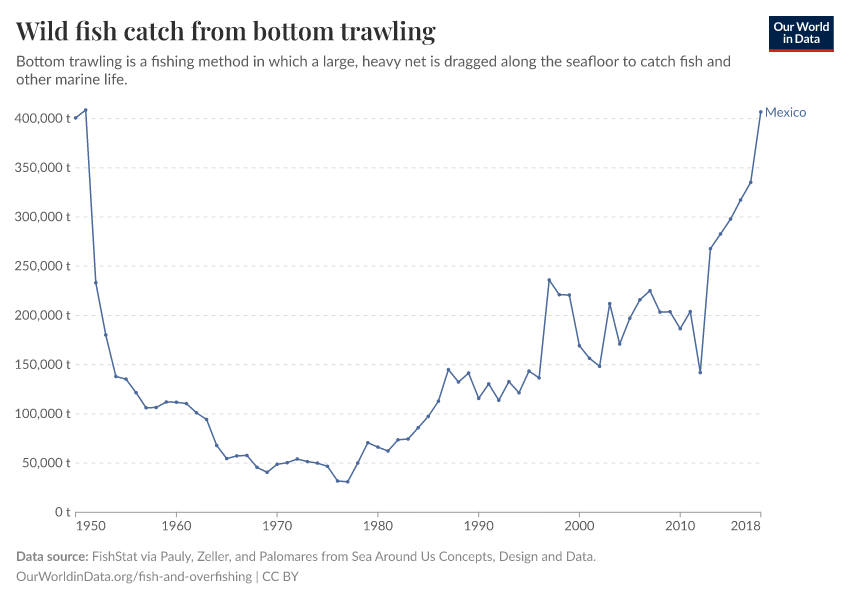 Wild fish catch from bottom trawling