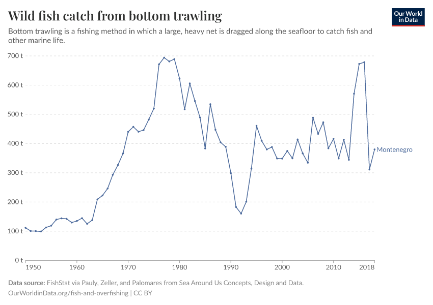 Wild fish catch from bottom trawling