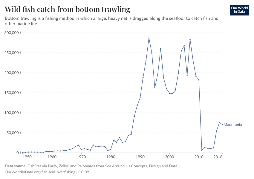 Wild fish catch from bottom trawling