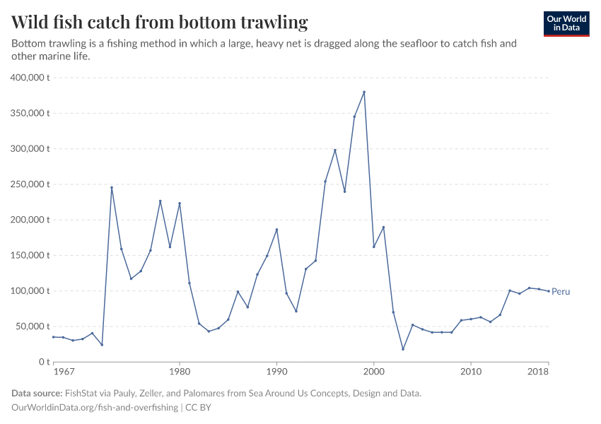 Wild fish catch from bottom trawling