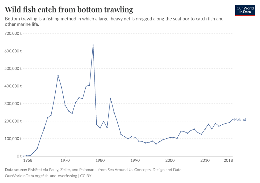 Wild fish catch from bottom trawling