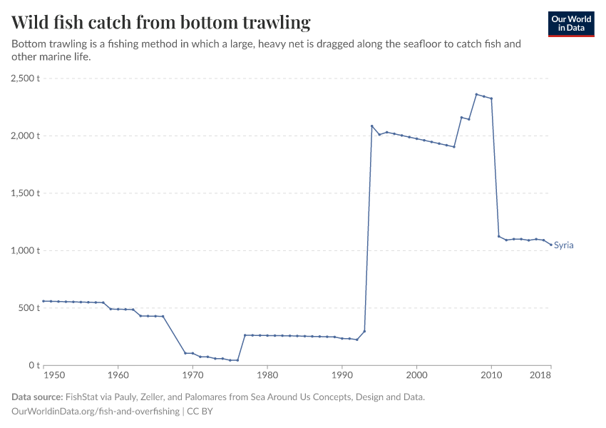 Wild fish catch from bottom trawling