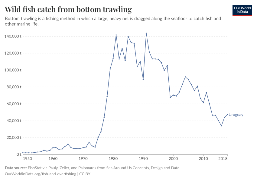 Wild fish catch from bottom trawling