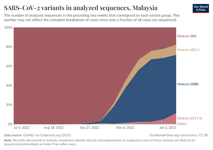 SARS-CoV-2 variants in analyzed sequences