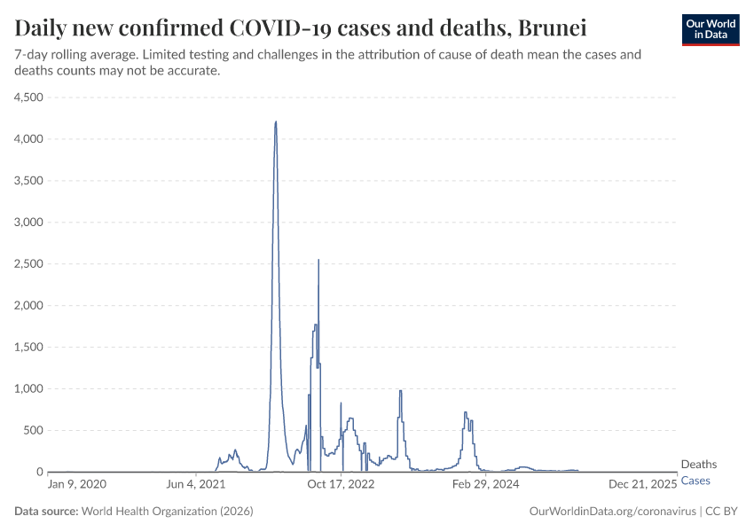 Daily new confirmed COVID-19 cases and deaths