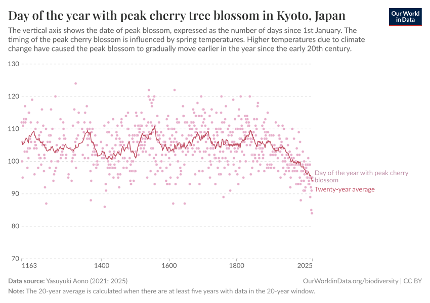 Day of the year with peak cherry tree blossom in Kyoto, Japan