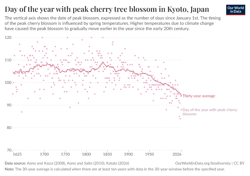 Day of the year with peak cherry tree blossom in Kyoto, Japan