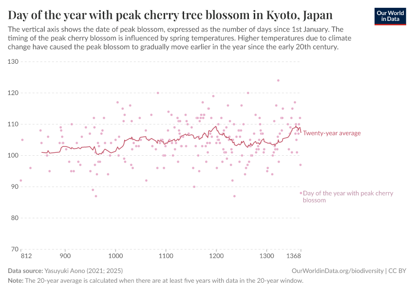 Day of the year with peak cherry tree blossom in Kyoto, Japan