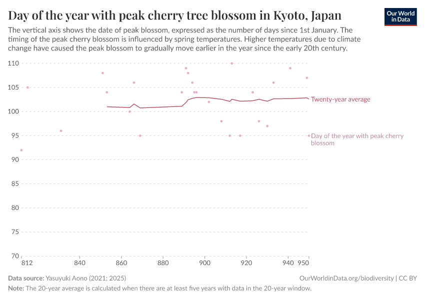 Day of the year with peak cherry tree blossom in Kyoto, Japan