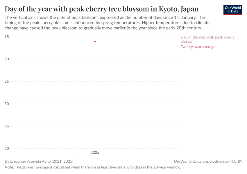Day of the year with peak cherry tree blossom in Kyoto, Japan