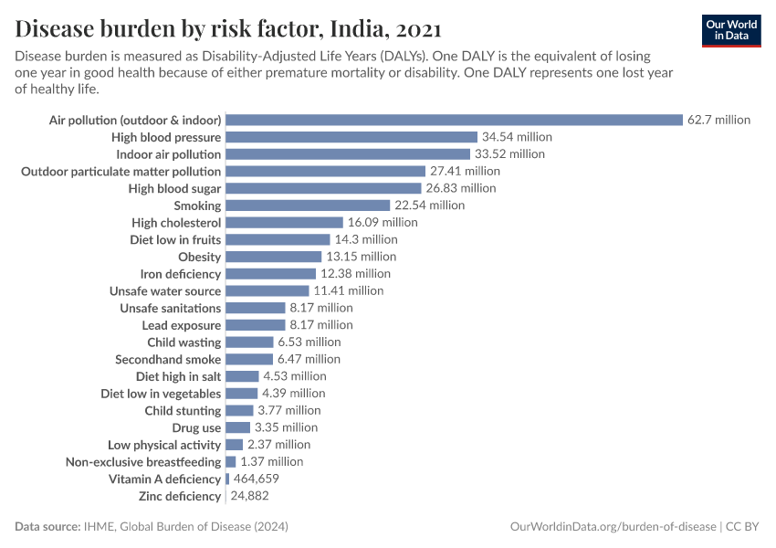 Disease burden by risk factor
