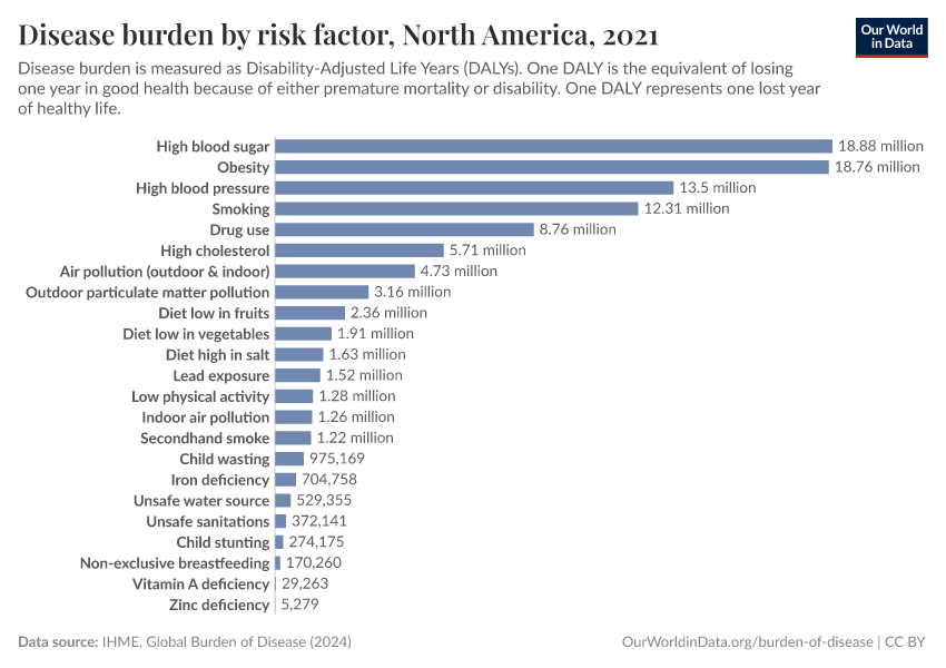 Disease burden by risk factor