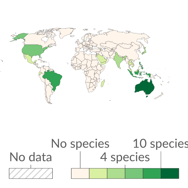 Data visualization: Endemic reef-forming coral species