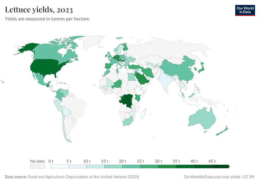 Lettuce yields Our World in Data