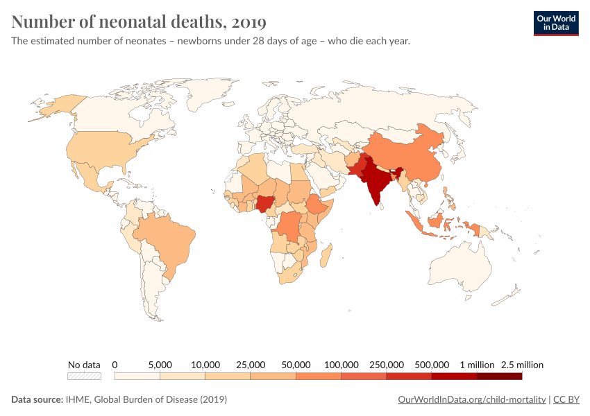 Deaths and births in the world essay