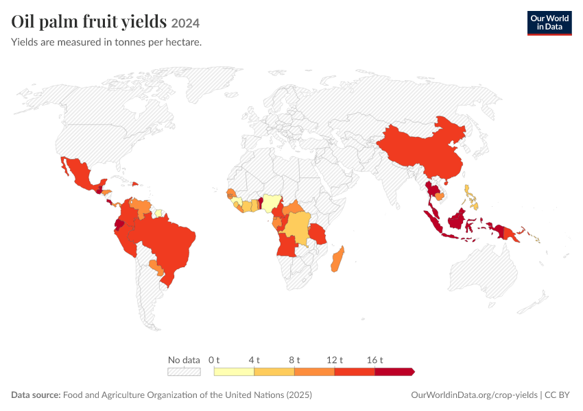 Oil Yield Palm oil yields - Our World in Data