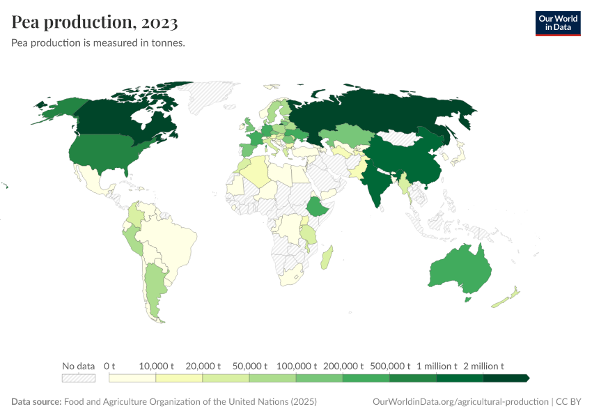 Pea production Our World in Data