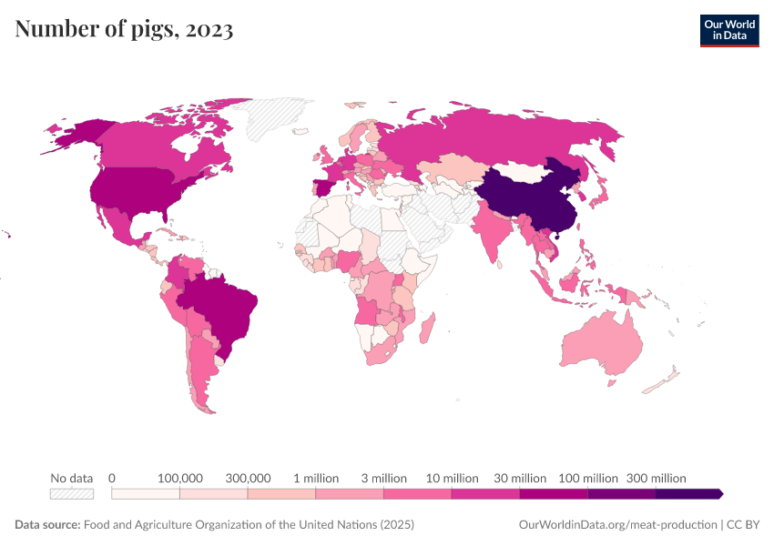 Pig livestock count Our World in Data