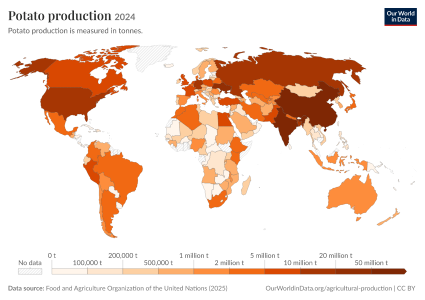 Potatoes Graph Potato production - Our World in Data