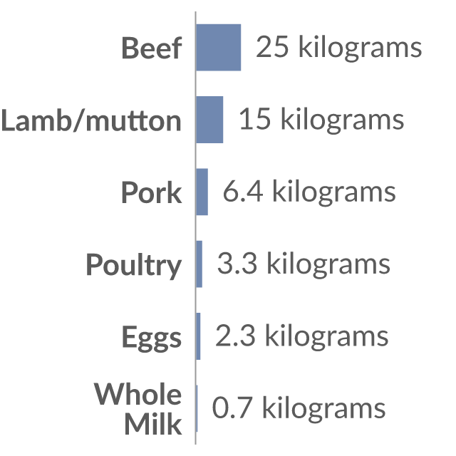 Data visualization: Feed required to produce one kilogram of meat or dairy product